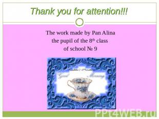 Thank you for attention!!! The work made by Pan Alinathe pupil of the 8th class