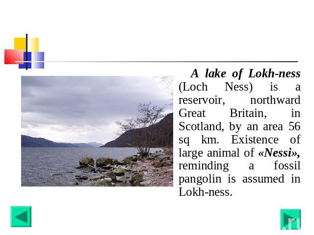 A lake of Lokh-ness (Loch Ness) is a reservoir, northward Great Britain, in Scotland, by an area 56 sq km. Existence of large animal of «Nessi», reminding a fossil pangolin is assumed in Lokh-ness.