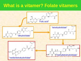 What is a vitamer? Folate vitamers