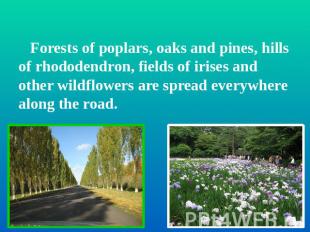 Forests of poplars, oaks and pines, hills of rhododendron, fields of irises and