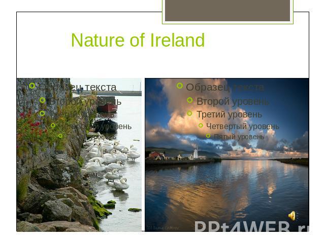 Nature of Ireland
