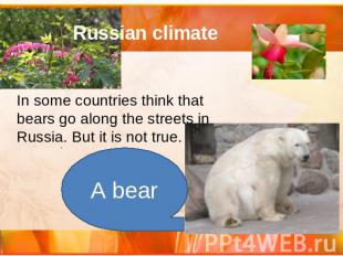 Russian climate In some countries think that bears go along the streets in Russi