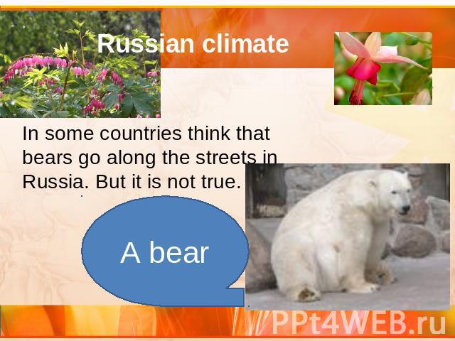 Russian climate In some countries think that bears go along the streets in Russia. But it is not true.