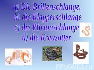 a) Die Brillenschlange, b) die Klapperschlange, c) die Phytonschlange d) die Kre