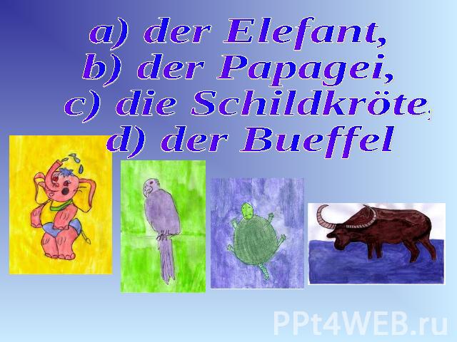 a) der Elefant, b) der Papagei, c) die Schildkröte, d) der Bueffel