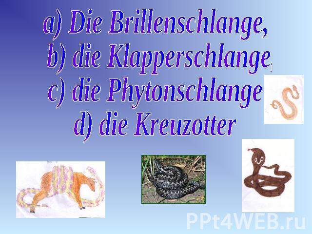 a) Die Brillenschlange, b) die Klapperschlange, c) die Phytonschlange d) die Kreuzotter