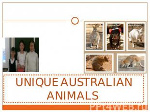 UNIQUE AUSTRALIAN ANIMALS