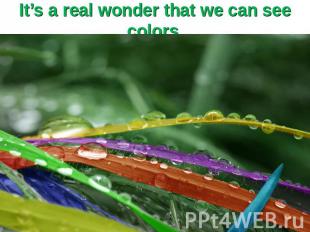 It’s a real wonder that we can see colors.