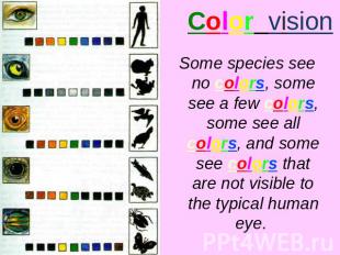 Color vision Some species see no colors, some see a few colors, some see all col