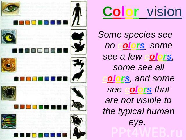 Color vision Some species see no colors, some see a few colors, some see all colors, and some see colors that are not visible to the typical human eye.