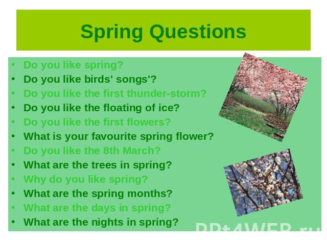 Spring Questions Do you like spring?Do you like birds' songs'?Do you like the first thunder-storm?Do you like the floating of ice?Do you like the first flowers?What is your favourite spring flower?Do you like the 8th March?What are the trees in spri…