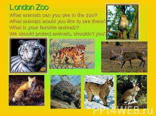 London ZooWhat animals can you see in the zoo?What animals would you like to see