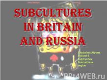 Subcultures in Britain and Russia