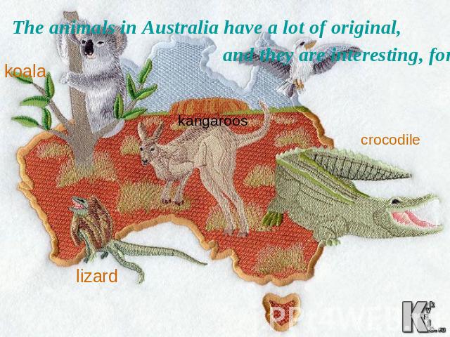 The animals in Australia have a lot of original, and they are interesting, for example…