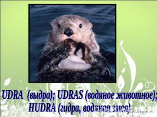 UDRA (выдра); UDRAS (водяное животное); HUDRA (гидра, водяная змея)