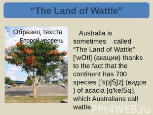 “The Land of Wattle” Australia is sometimes called “The Land of Wattle” ['wOtl]