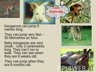 Kangaroos can jump 9 metres long.They can jump very fast – 30 kilometres an hour