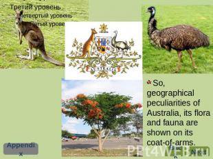 So, geographical peculiarities of Australia, its flora and fauna are shown on it