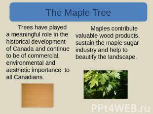 The Maple Tree Trees have played a meaningful role in the historical development
