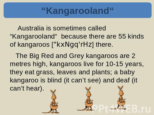 “Kangarooland“ Australia is sometimes called “Kangarooland“ because there are 55 kinds of kangaroos [