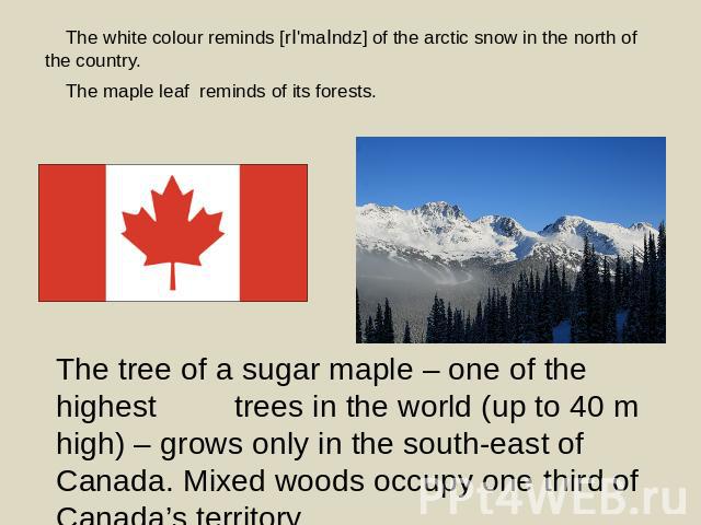 The white colour reminds [rI'maIndz] of the arctic snow in the north of the country. The maple leaf reminds of its forests. The tree of a sugar maple – one of the highest trees in the world (up to 40 m high) – grows only in the south-east of Canada.…
