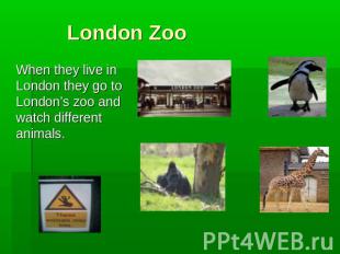 When they live in London they go to London’s zoo and watch different animals.Whe