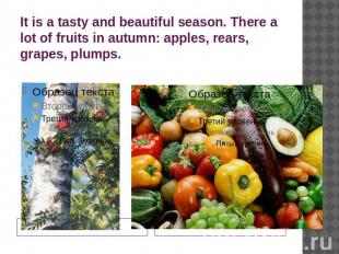 It is a tasty and beautiful season. There a lot of fruits in autumn: apples, rea
