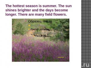 The hottest season is summer. The sun shines brighter and the days become longer