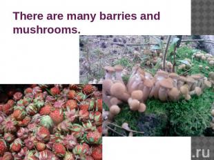 There are many barries and mushrooms.