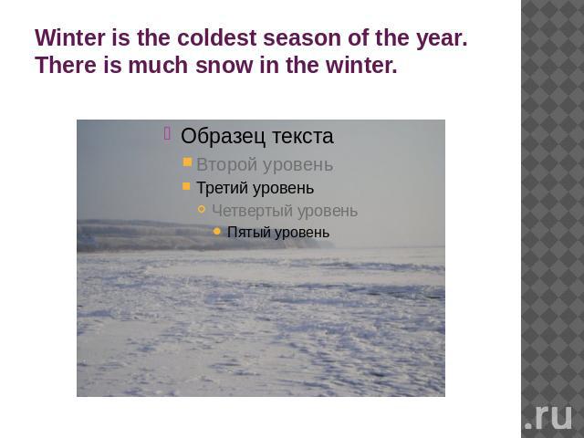 Winter is the coldest season of the year. There is much snow in the winter.