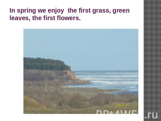In spring we enjoy the first grass, green leaves, the first flowers.