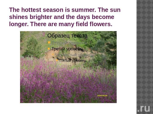 The hottest season is summer. The sun shines brighter and the days become longer. There are many field flowers.