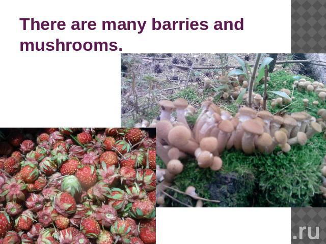 There are many barries and mushrooms.