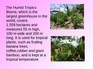 The Humid Tropics Biome, which is the largest greenhouse in the world, covers 1.