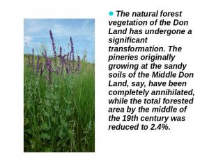 The natural forest vegetation of the Don Land has undergone a significant transf