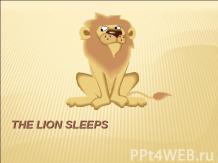 The Lion spleeps