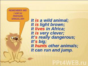 REMEMBER ME!I AM 3d PERSON SINGULAR! It is a wild animal;It is light brown;It li