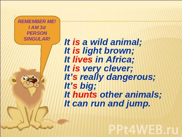 REMEMBER ME!I AM 3d PERSON SINGULAR! It is a wild animal;It is light brown;It lives in Africa;It is very clever;It’s really dangerous;It’s big;It hunts other animals;It can run and jump.