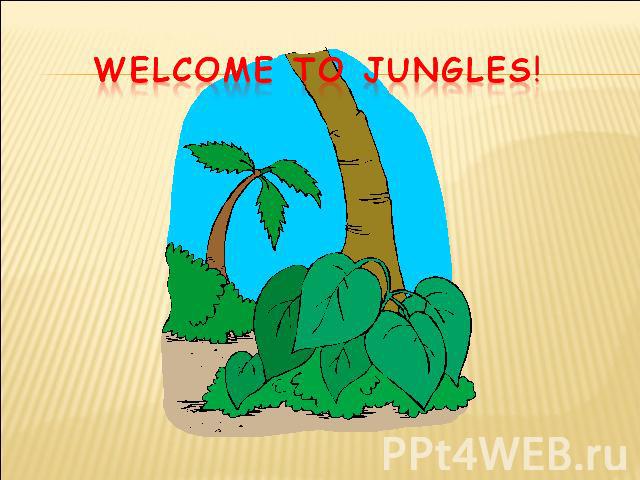 WELCOME TO JUNGLES!