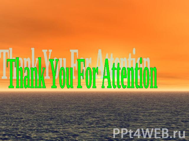Thank You For Attention
