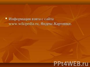 Информация взята с сайта www.wikipedia.ru, Яндекс.Картинки.