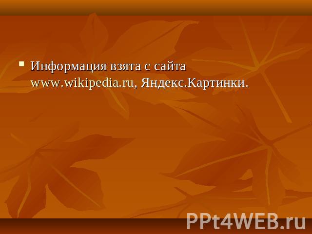 Информация взята с сайта www.wikipedia.ru, Яндекс.Картинки.
