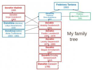 My family tree