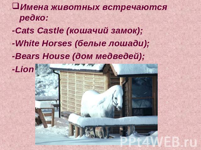 Имена животных встречаются редко:-Cats Castle (кошачий замок);-White Horses (белые лошади);-Bears House (дом медведей);-Lion House (дом льва).