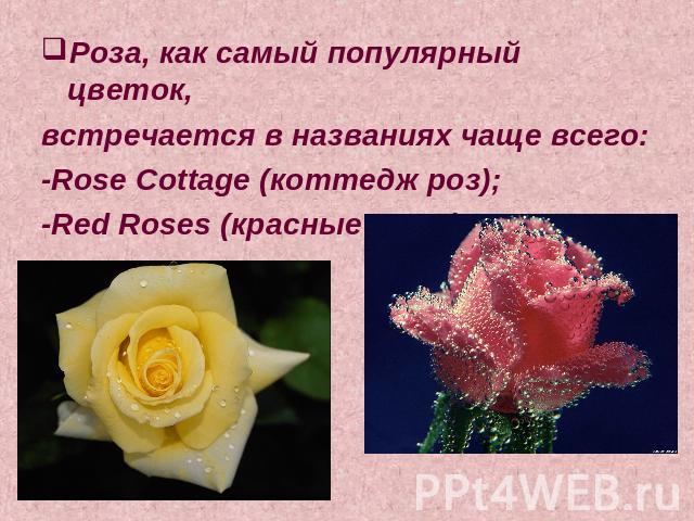 Роза, как самый популярный цветок, встречается в названиях чаще всего:-Rose Cottage (коттедж роз);-Red Roses (красные розы).