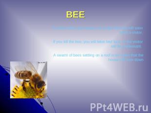BEE If a bee enters your home, it's a sign that you will soon have a visitor. If