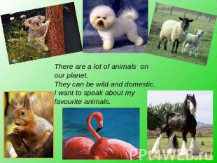 There are a lot of animals on our planet.They can be wild and domestic. I want t