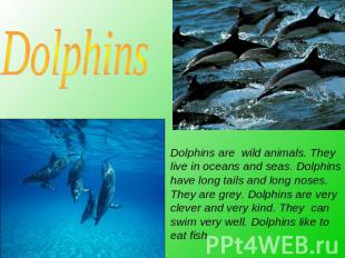 Dolphins are wild animals. They live in oceans and seas. Dolphins have long tail