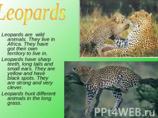 Leopards Leopards are wild animals. They live in Africa. They have got their own