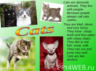 Cats Cats are domestic animals. They live with people. Because people always cal